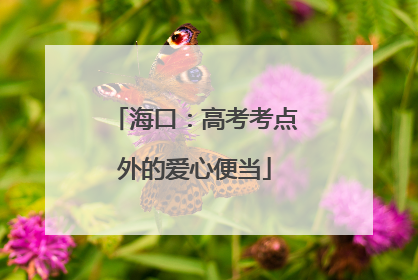 海口：高考考点外的爱心便当