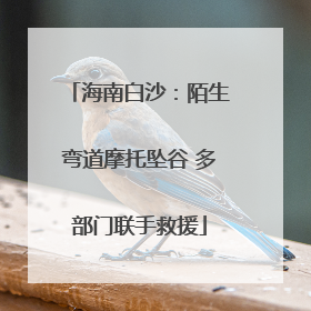 海南白沙：陌生弯道摩托坠谷 多部门联手救援