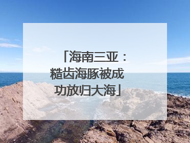海南三亚：糙齿海豚被成功放归大海
