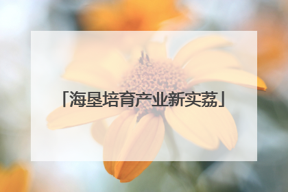 海垦培育产业新实荔
