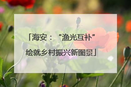 海安：“渔光互补” 绘就乡村振兴新图景