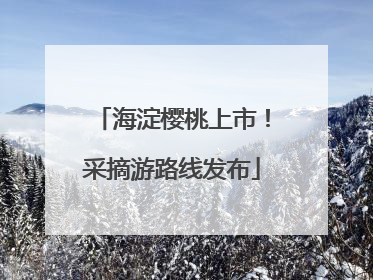 海淀樱桃上市！采摘游路线发布