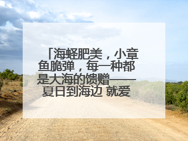 海蛏肥美，小章鱼脆弹，每一种都是大海的馈赠——夏日到海边 就爱那口鲜