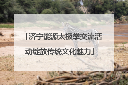 济宁能源太极拳交流活动绽放传统文化魅力