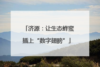 济源：让生态蜂蜜插上“数字翅膀”