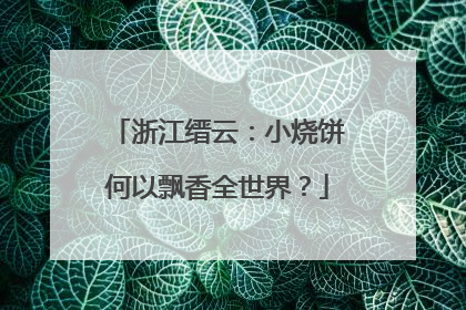 浙江缙云：小烧饼何以飘香全世界？