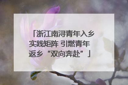 浙江南浔青年入乡实践矩阵 引燃青年返乡“双向奔赴”
