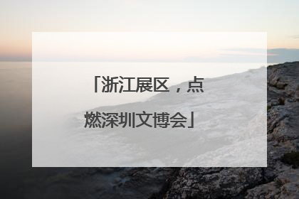 浙江展区，点燃深圳文博会