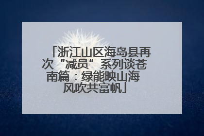 浙江山区海岛县再次“减员”系列谈苍南篇：绿能映山海 风吹共富帆
