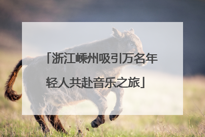浙江嵊州吸引万名年轻人共赴音乐之旅