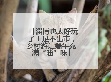 淄博也太好玩了！足不出市，乡村游让端午充满“淄”味