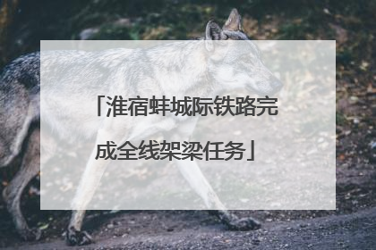 淮宿蚌城际铁路完成全线架梁任务