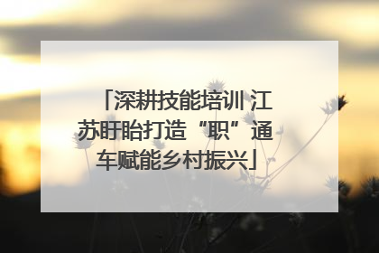 深耕技能培训 江苏盱眙打造“职”通车赋能乡村振兴