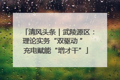 清风头条｜武陵源区：理论实务“双驱动 ” 充电赋能“增才干”