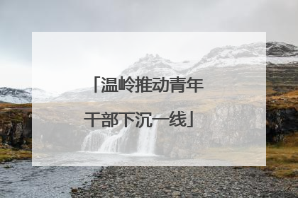温岭推动青年干部下沉一线