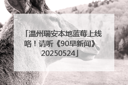 温州瑞安本地蓝莓上线咯！请听《90早新闻》20250524