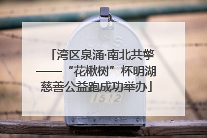 湾区泉涌·南北共擎——“花楸树”杯明湖慈善公益跑成功举办