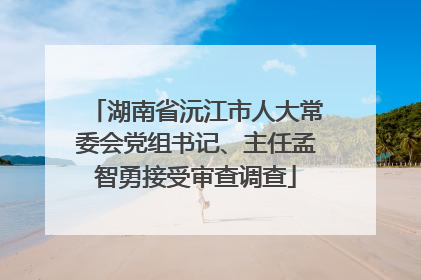 湖南省沅江市人大常委会党组书记、主任孟智勇接受审查调查