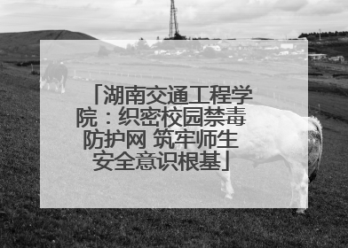 湖南交通工程学院：织密校园禁毒防护网 筑牢师生安全意识根基