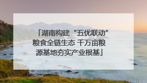 湖南构建“五优联动”粮食全链生态 千万亩粮源基地夯实产业根基