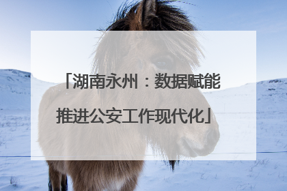 湖南永州：数据赋能推进公安工作现代化