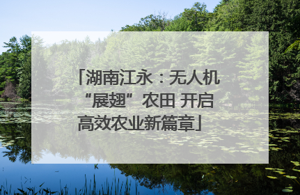 湖南江永：无人机“展翅”农田 开启高效农业新篇章