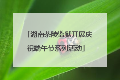 湖南茶陵监狱开展庆祝端午节系列活动