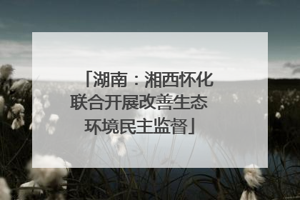 湖南：湘西怀化联合开展改善生态环境民主监督