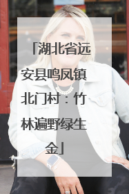 湖北省远安县鸣凤镇北门村：竹林遍野绿生金
