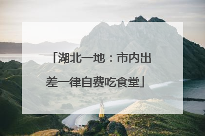 湖北一地：市内出差一律自费吃食堂