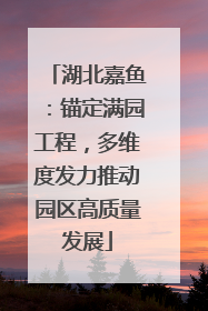 湖北嘉鱼：锚定满园工程，多维度发力推动园区高质量发展