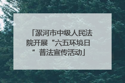 漯河市中级人民法院开展“六五环境日”普法宣传活动