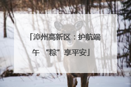 漳州高新区：护航端午 “粽”享平安