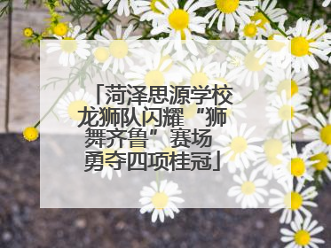 菏泽思源学校龙狮队闪耀“狮舞齐鲁”赛场 勇夺四项桂冠
