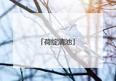 荷绽清池