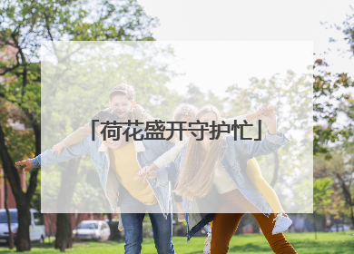 荷花盛开守护忙