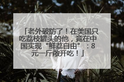 老外破防了！在美国只吃荔枝罐头的他，竟在中国实现“鲜荔自由”：8元一斤敞开吃！