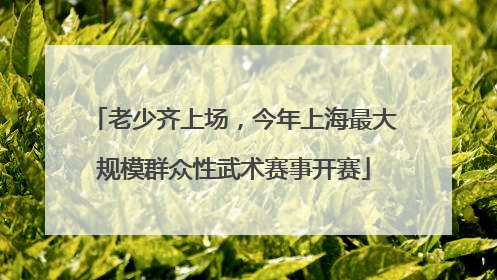 老少齐上场，今年上海最大规模群众性武术赛事开赛