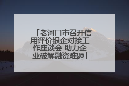 老河口市召开信用评价银企对接工作座谈会 助力企业破解融资难题