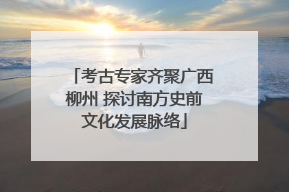 考古专家齐聚广西柳州 探讨南方史前文化发展脉络