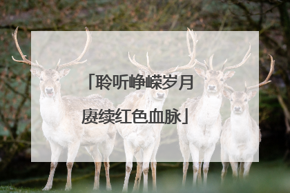 聆听峥嵘岁月 赓续红色血脉