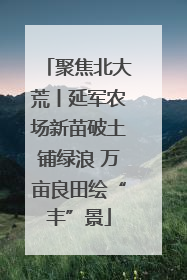 聚焦北大荒丨延军农场新苗破土铺绿浪 万亩良田绘“丰”景