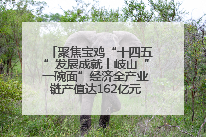 聚焦宝鸡“十四五”发展成就丨岐山“一碗面”经济全产业链产值达162亿元 入选全国典型县