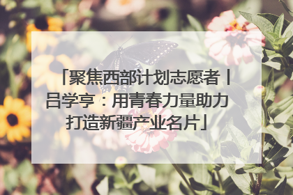 聚焦西部计划志愿者丨吕学亨：用青春力量助力打造新疆产业名片