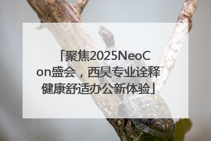 聚焦2025NeoCon盛会，西昊专业诠释健康舒适办公新体验
