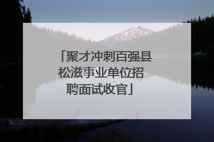 聚才冲刺百强县 松滋事业单位招聘面试收官