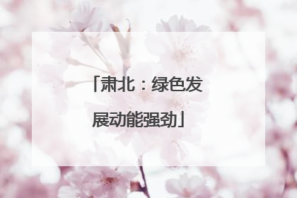 肃北：绿色发展动能强劲