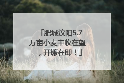 肥城汶阳5.7万亩小麦丰收在望，开镰在即！