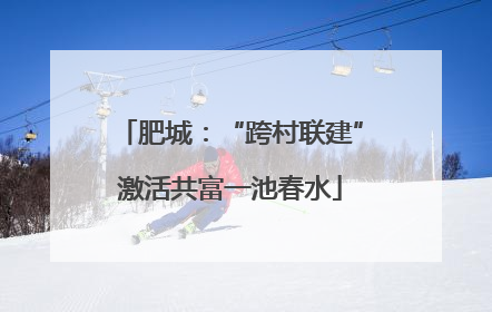 肥城：“跨村联建”激活共富一池春水