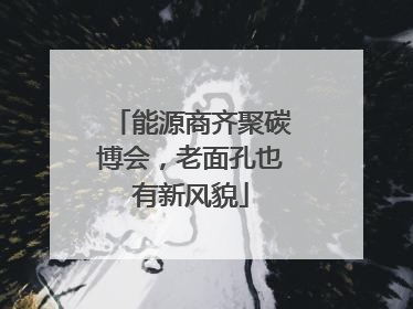能源商齐聚碳博会，老面孔也有新风貌